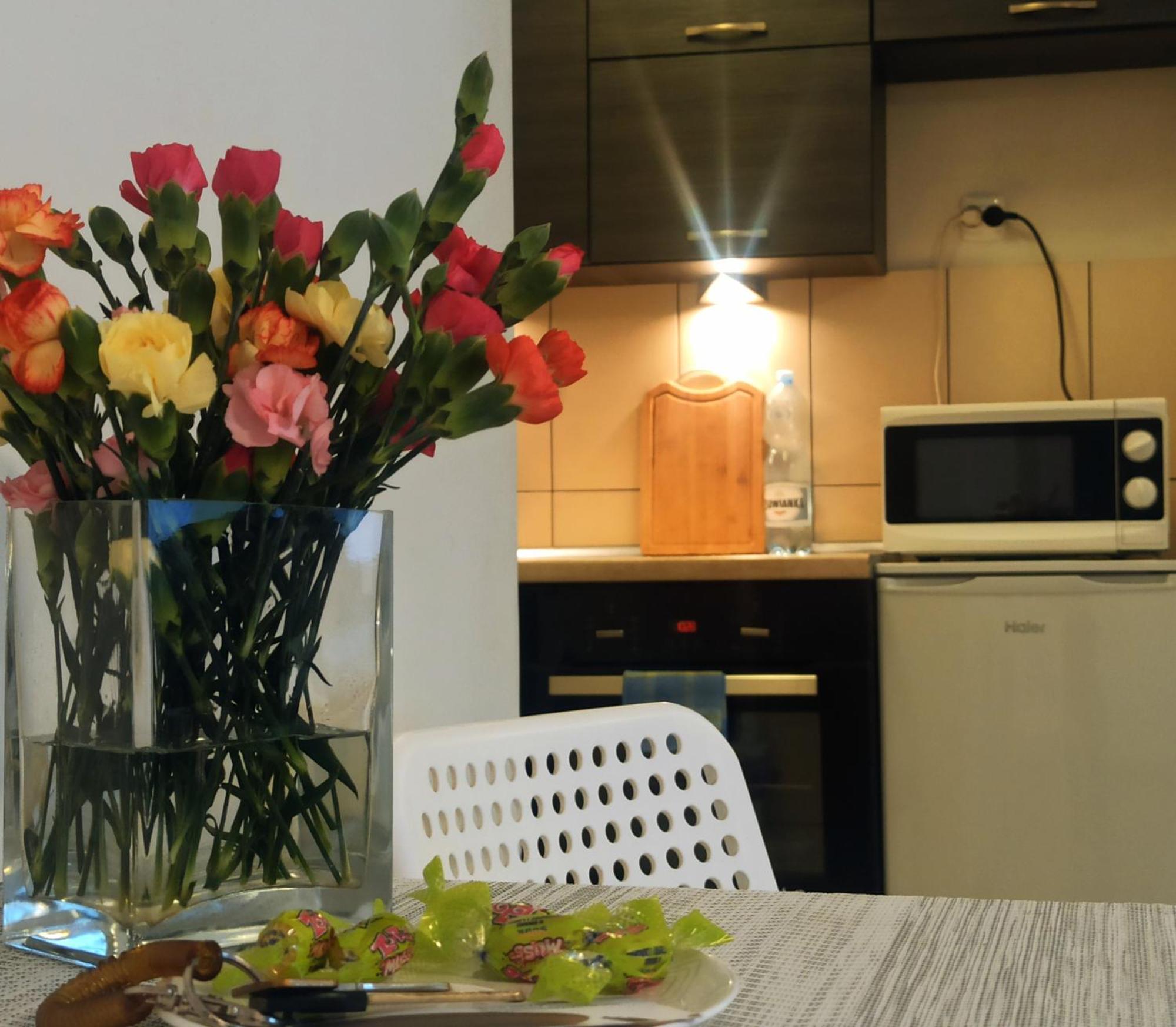 Apartamenty Spodek Katowice Bagian luar foto